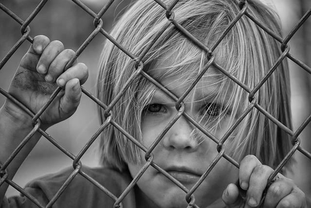 Kinder und Jugendliche mit psychischer Erkrankung Eine aktuelle Broschüre aus Rheinland-Pfalz